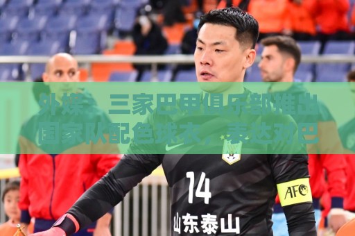 外媒:三家巴甲俱乐部推出国家队配色球衣,表达对巴西队支持 外媒:三家巴甲俱乐部推出国家队配色球衣,表达对巴西队支持