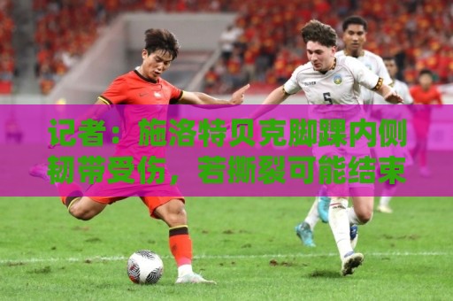 记者:施洛特贝克脚踝内侧韧带受伤,若撕裂可能结束世界杯之旅 记者:施洛特贝克脚踝内侧韧带受伤,若撕裂可能结束世界杯之旅