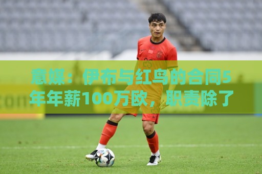 意媒:伊布与红鸟的合同5年年薪100万欧,职责除了竞技还涉及商业 意媒:伊布与红鸟的合同5年年薪100万欧,职责除了竞技还涉及商业