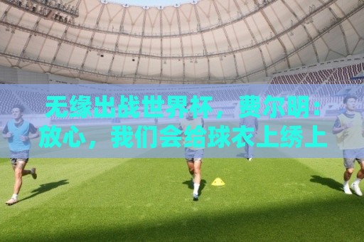 无缘出战世界杯,费尔明:放心,我们会给球衣上绣上第二颗星 无缘出战世界杯,费尔明:放心,我们会给球衣上绣上第二颗星