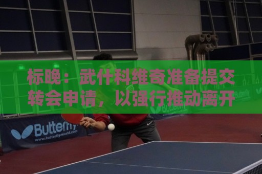 标晚:武什科维奇准备提交转会申请,以强行推动离开热刺 标晚:武什科维奇准备提交转会申请,以强行推动离开热刺