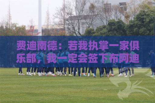 费迪南德:若我执掌一家俱乐部,我一定会签下布阿迪和巴尔科拉 费迪南德:若我执掌一家俱乐部,我一定会签下布阿迪和巴尔科拉