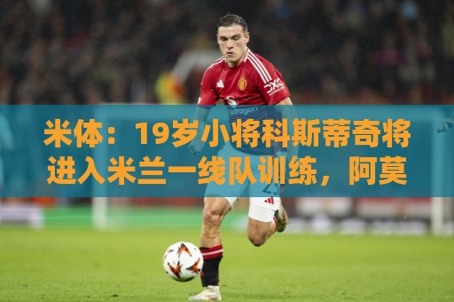 米体:19岁小将科斯蒂奇将进入米兰一线队训练,阿莫林很看重他 米体:19岁小将科斯蒂奇将进入米兰一线队训练,阿莫林很看重他