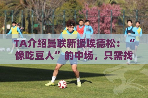 TA介绍曼联新援埃德松:“像吃豆人”的中场,只需找回稳定性 TA介绍曼联新援埃德松:“像吃豆人”的中场,只需找回稳定性