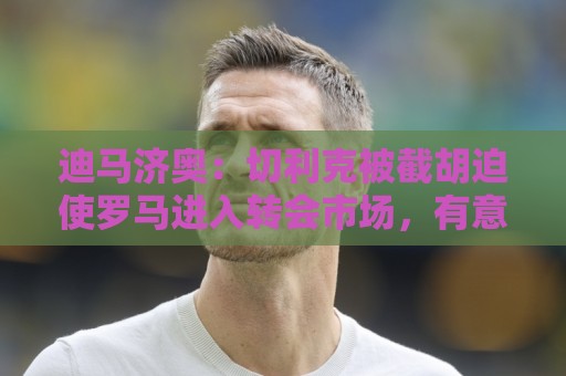 迪马济奥:切利克被截胡迫使罗马进入转会市场,有意莫利纳、多多 迪马济奥:切利克被截胡迫使罗马进入转会市场,有意莫利纳、多多