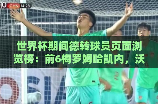 世界杯期间德转球员页面浏览榜：前6梅罗姆哈凯内，沃齐尼亚第8