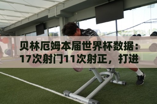 贝林厄姆本届世界杯数据：17次射门11次射正，打进6球