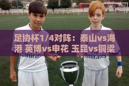 足协杯1/4对阵:泰山vs海港 英博vs申花 玉昆vs铜梁龙 兰州vs国安 足协杯1/4对阵:泰山vs海港 英博vs申花 玉昆vs铜梁龙 兰州vs国安