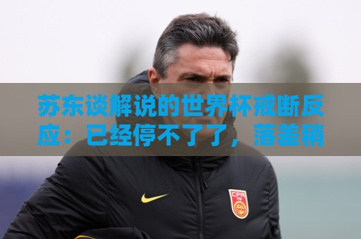 苏东谈解说的世界杯戒断反应:已经停不了了,落差稍大得适应 苏东谈解说的世界杯戒断反应:已经停不了了,落差稍大得适应