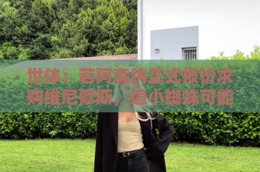 世体:若阿森纳正式报价求购维尼修斯,追小蜘蛛可能性将大幅降低 世体:若阿森纳正式报价求购维尼修斯,追小蜘蛛可能性将大幅降低