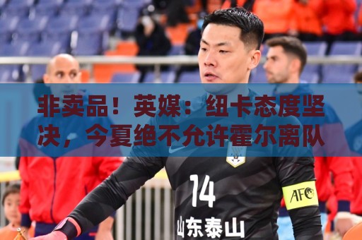 非卖品！英媒：纽卡态度坚决，今夏绝不允许霍尔离队