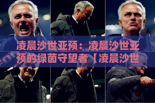 凌晨沙世亚预：凌晨沙世亚预的绿茵守望者【凌晨沙世亚预】那些深夜看球的人到底在坚持什么🍘最全手机信誉体球站走盘单双盘独赢波胆盘大球分析