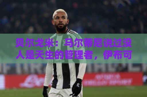 贝尔戈米:马尔蒂尼说过没人是天生的管理者,伊布可以去学习成长 贝尔戈米:马尔蒂尼说过没人是天生的管理者,伊布可以去学习成长