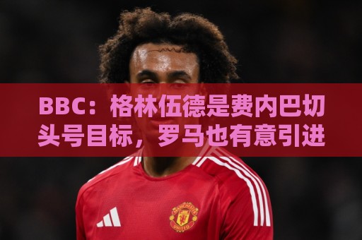 BBC:格林伍德是费内巴切头号目标,罗马也有意引进这位前锋 BBC:格林伍德是费内巴切头号目标,罗马也有意引进这位前锋