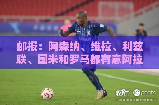 邮报：阿森纳、维拉、利兹联、国米和罗马都有意阿拉伊贝戈维奇