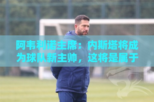 阿韦利诺主席：内斯塔将成为球队新主帅，这将是属于他的一个赛季