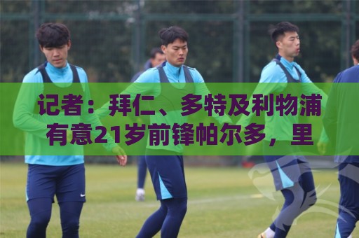 记者:拜仁、多特及利物浦有意21岁前锋帕尔多,里尔要价7000万欧 记者:拜仁、多特及利物浦有意21岁前锋帕尔多,里尔要价7000万欧