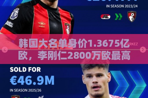 韩国大名单身价1.3675亿欧,李刚仁2800万欧最高,孙兴慜1700万欧 韩国大名单身价1.3675亿欧,李刚仁2800万欧最高,孙兴慜1700万欧