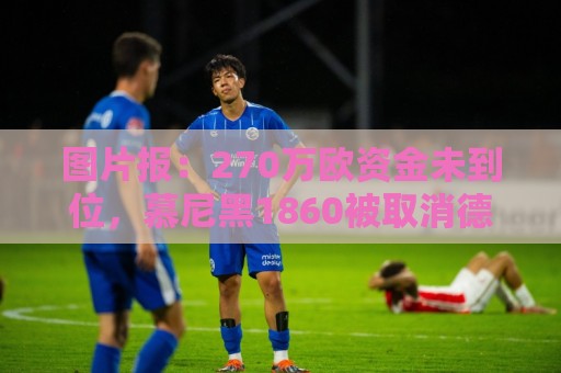 图片报:270万欧资金未到位,慕尼黑1860被取消德丙参赛资格 图片报:270万欧资金未到位,慕尼黑1860被取消德丙参赛资格