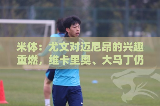 米体:尤文对迈尼昂的兴趣重燃,维卡里奥、大马丁仍是热门人选 米体:尤文对迈尼昂的兴趣重燃,维卡里奥、大马丁仍是热门人选