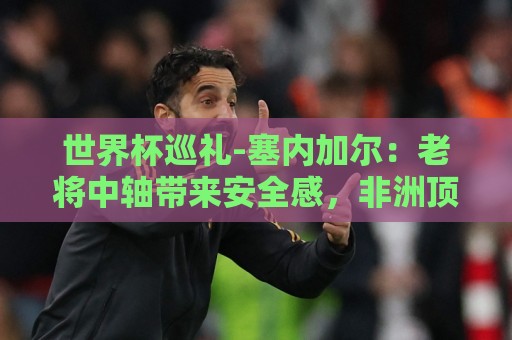 世界杯巡礼-塞内加尔：老将中轴带来安全感，非洲顶流前景可期！