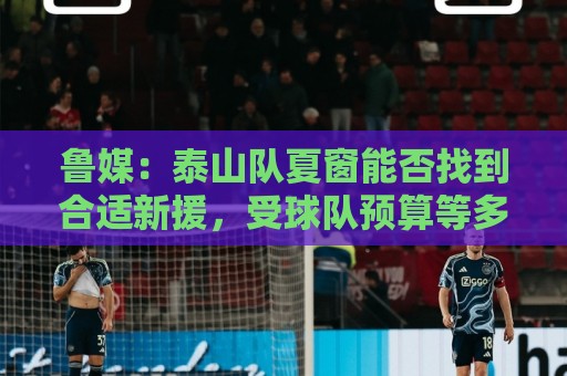 鲁媒：泰山队夏窗能否找到合适新援，受球队预算等多重因素影响