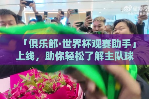 「俱乐部·世界杯观赛助手」上线，助你轻松了解主队球员参赛情况