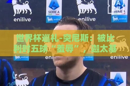 世界杯巡礼-突尼斯：被比利时五球“羞辱”，迦太基之鹰前途难测